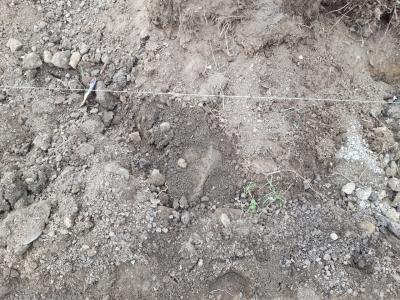 Прикрепленное изображение: люк.jpg